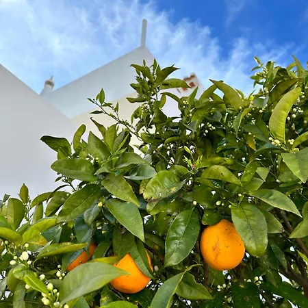 Casa Malia Luxury